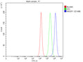 Flow Cytometry analysis of PC-3 cells using anti-MASP1 antibody. Overlay histogram showing PC-3 cells stained with (Blue line). The cells were fixed with 4% paraformaldehyde and blocked with 10% normal goat serum. And then incubated with rabbit anti-MASP1 antibody (1 ug/million cells) for 30 min at 20oC. DyLight 488 conjugated goat anti-rabbit IgG (5-10 ug/million cells) was used as secondary antibody for 30 min at 20oC.