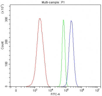 Flow cytometry testing of mouse ANA-1 cells with Y-box-binding protein 1 antibody at 1ug/million cells (blocked with goat sera); Red=cells alone, Green=isotype control, Blue= Y-box-binding protein 1 antibody.