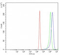 Flow cytometry testing of human K562 cells with AHCYL1 antibody at 1ug/million cells (blocked with goat sera); Red=cells alone, Green=isotype control, Blue= AHCYL1 antibody.