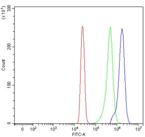 Flow cytometry testing of human HL60 cells with SDCCAG3 antibody at 1ug/million cells (blocked with goat sera); Red=cells alone, Green=isotype control, Blue= SDCCAG3 antibody.