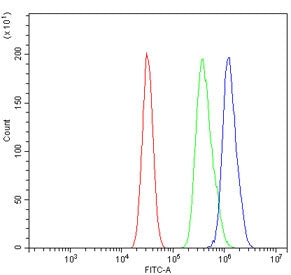 Flow cytometry testing of mouse HEPA1-6 cells with Tlr6 antibody at 1ug/million cells (blocked with goat sera); Red=cells alone, Green=isotype control, Blue= Tlr6 antibody.