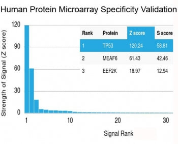 Analysis of HuProt(TM) microarray containing more than 19,000 full-length human proteins using BRCA-1 antibody (clone BRCA1/2973). These results demonstrate the foremost specificity of the BRCA1/2973 mAb. Z- and S- Score: The Z-score represents the strength of a signal that a monoclonal antibody (clone MAb) (in combination with a fluorescently-tagged anti-IgG secondary antibody) produces when binding to a particular protein on the HuProt(TM) array.