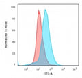 Flow cytometry testing of PFA-fixed human Jurkat cells with CD28 antibody (clone C28/76); Red=isotype control, Blue= CD28 antibody.