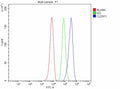 Flow Cytometry analysis of HepG2 cells using anti-CLDN11 antibody. Overlay histogram showing HepG2 cells stained with (Blue line). The cells were fixed with 4% paraformaldehyde and blocked with 10% normal goat serum. And then incubated with rabbit anti-CLDN11 antibody (1 ug/million cells) for 30 min at 20oC. DyLight 488 conjugated goat anti-rabbit IgG (5-10 ug/million cells) was used as secondary antibody for 30 min at 20oC.