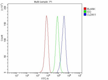 Flow Cytometry analysis of HepG2 cells using anti-CLDN11 antibody. Overlay histogram showing HepG2 cells stained with (Blue line). The cells were fixed with 4% paraformaldehyde and blocked with 10% normal goat serum. And then incubated with rabbit anti-CLDN11 antibody (1 ug/million cells) for 30 min at 20oC. DyLight 488 conjugated goat anti-rabbit IgG (5-10 ug/million cells) was used as secondary antibody for 30 min at 20oC.