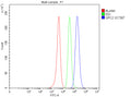 Flow Cytometry analysis of SH-SY5Y cells using anti-GPC2 antibody. Overlay histogram showing SH-SY5Y cells stained with (Blue line). The cells were fixed with 4% paraformaldehyde and blocked with 10% normal goat serum. And then incubated with rabbit anti-GPC2 antibody (1 ug/million cells) for 30 min at 20oC. DyLight 488 conjugated goat anti-rabbit IgG (5-10 ug/million cells) was used as secondary antibody for 30 min at 20oC.