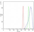 Flow cytometry testing of fixed and permeabilized human SiHa cells with PRKCA antibody at 1ug/million cells (blocked with goat sera); Red=cells alone, Green=isotype control, Blue= PRKCA antibody.
