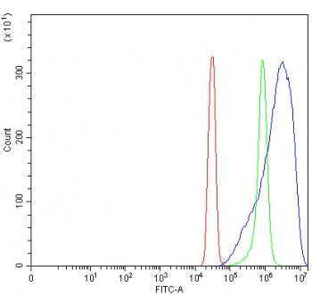 Flow cytometry testing of fixed and permeabilized human SiHa cells with PRKCA antibody at 1ug/million cells (blocked with goat sera); Red=cells alone, Green=isotype control, Blue= PRKCA antibody.