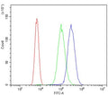 Flow cytometry testing of human U937 cells with HOMER3 antibody at 1ug/million cells (blocked with goat sera); Red=cells alone, Green=isotype control, Blue= HOMER3 antibody.