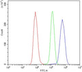Flow cytometry testing of human Raji cells with ITGAV antibody at 1ug/million cells (blocked with goat sera); Red=cells alone, Green=isotype control, Blue= ITGAV antibody.