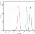 Flow cytometry testing of human 293T cells with SLC17A4 antibody at 1ug/million cells (blocked with goat sera); Red=cells alone, Green=isotype control, Blue= SLC17A4 antibody.