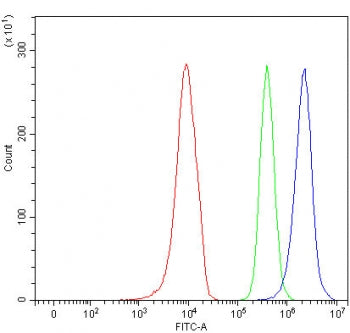 Flow cytometry testing of human 293T cells with SLC17A4 antibody at 1ug/million cells (blocked with goat sera); Red=cells alone, Green=isotype control, Blue= SLC17A4 antibody.