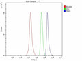 Flow Cytometry analysis of SH-SY5Y cells using anti-TBR1 antibody. Overlay histogram showing SH-SY5Y cells stained with (Blue line). To facilitate intracellular staining, cells were fixed with 4% paraformaldehyde and permeabilized with permeabilization buffer. The cells were blocked with 10% normal goat serum. And then incubated with rabbit anti-TBR1 antibody (1 ug/million cells) for 30 min at 20oC.
