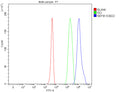 Flow cytometry analysis of fixed and permeabilized human 293T cells with NEFM antibody at 1ug/million cells (blocked with goat sera); Red=cells alone, Green=isotype control, Blue= NEFM antibody.