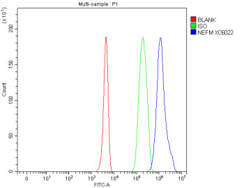 Flow cytometry analysis of fixed and permeabilized human 293T cells with NEFM antibody at 1ug/million cells (blocked with goat sera); Red=cells alone, Green=isotype control, Blue= NEFM antibody.