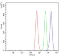 Flow cytometry testing of rat NRK cells with Cd226 antibody at 1ug/million cells (blocked with goat sera); Red=cells alone, Green=isotype control, Blue= Cd226 antibody.