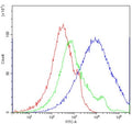 Flow cytometry testing of human PBMC with CD16 antibody at 1ug/million cells (blocked with goat sera); Red=cells alone, Green=isotype control, Blue= CD16 antibody.
