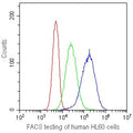 FACS testing of human HL60 cells with CD41 antibody at 1ug/10^6 cells. CD41 antibody (blue), isotype control (green), cells alone (red).