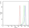 Flow cytometry testing of human MCF7 cells with RAB23 antibody at 1ug/million cells (blocked with goat sera); Red=cells alone, Green=isotype control, Blue= RAB23 antibody.
