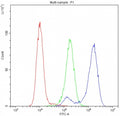 Flow cytometry testing of human K562 cells with Cytochrome C antibody at 1ug/10^6 cells (blocked with goat sera); Red=cells alone, Green=isotype control, Blue= Cytochrome C antibody.