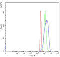 Flow cytometry testing of human HepG2 cells with ACSM3 antibody at 1ug/million cells (blocked with goat sera); Red=cells alone, Green=isotype control, Blue= ACSM3 antibody.