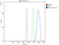 Flow Cytometry analysis of 293T cells using anti-PLCD1 antibody. Overlay histogram showing 293T cells stained with (Blue line). The cells were fixed with 4% paraformaldehyde and blocked with 10% normal goat serum. And then incubated with rabbit anti-PLCD1 antibody (1 ug/million cells) for 30 min at 20oC. DyLight 488 conjugated goat anti-rabbit IgG (5-10 ug/million cells) was used as secondary antibody for 30 min at 20oC.