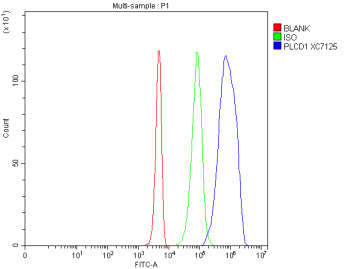Flow Cytometry analysis of 293T cells using anti-PLCD1 antibody. Overlay histogram showing 293T cells stained with (Blue line). The cells were fixed with 4% paraformaldehyde and blocked with 10% normal goat serum. And then incubated with rabbit anti-PLCD1 antibody (1 ug/million cells) for 30 min at 20oC. DyLight 488 conjugated goat anti-rabbit IgG (5-10 ug/million cells) was used as secondary antibody for 30 min at 20oC.