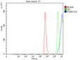 Flow Cytometry analysis of Hela cells using anti-PSMD13 antibody. Overlay histogram showing Hela cells stained with (Blue line). To facilitate intracellular staining, cells were fixed with 4% paraformaldehyde and permeabilized with permeabilization buffer. The cells were blocked with 10% normal goat serum. And then incubated with rabbit anti-PSMD13 antibody (1 ug/million cells) for 30 min at 20oC.