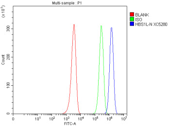 Flow Cytometry analysis of HEL cells using anti-HBS1L antibody. Overlay histogram showing HEL cells stained with (Blue line). To facilitate intracellular staining, cells were fixed with 4% paraformaldehyde and permeabilized with permeabilization buffer. The cells were blocked with 10% normal goat serum. And then incubated with rabbit anti-HBS1L antibody (1 ug/million cells) for 30 min at 20oC.