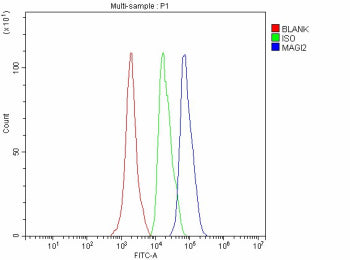 Flow Cytometry analysis of SH-SY5Y cells using anti-MAGI2 antibody. Overlay histogram showing SH-SY5Y cells stained with (Blue line). The cells were fixed with 4% paraformaldehyde and blocked with 10% normal goat serum. And then incubated with rabbit anti-MAGI2 antibody (1 ug/million cells) for 30 min at 20oC. DyLight 488 conjugated goat anti-rabbit IgG (5-10 ug/million cells) was used as secondary antibody for 30 min at 20oC.