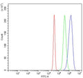 Flow cytometry testing of human SiHa cells with Dnmt3b antibody at 1ug/million cells (blocked with goat sera); Red=cells alone, Green=isotype control, Blue= Dnmt3b antibody.
