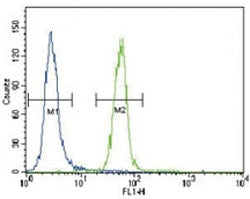 FYN antibody flow cytometric analysis of HeLa cells (right histogram) compared to a negative control (left histogram). FITC-conjugated goat-anti-rabbit secondary Ab was used for the analysis.