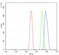 Flow cytometry testing of human SiHa cells with RNF212 antibody at 1ug/million cells (blocked with goat sera); Red=cells alone, Green=isotype control, Blue= RNF212 antibody.