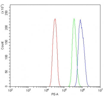 Flow cytometry testing of human SiHa cells with RNF212 antibody at 1ug/million cells (blocked with goat sera); Red=cells alone, Green=isotype control, Blue= RNF212 antibody.
