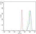 Flow cytometry testing of human U937 cells with SIVA1 antibody at 1ug/million cells (blocked with goat sera); Red=cells alone, Green=isotype control, Blue= SIVA1 antibody.