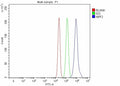 Flow Cytometry analysis of human RT4 cells using anti-NRF2 antibody. Overlay histogram showing RT4 cells stained with (Blue line). To facilitate intracellular staining, cells were fixed with 4% paraformaldehyde and permeabilized with permeabilization buffer. The cells were blocked with 10% normal goat serum. And then incubated with rabbit anti-NRF2 antibody (1 ug/million cells) for 30 min at 20oC.