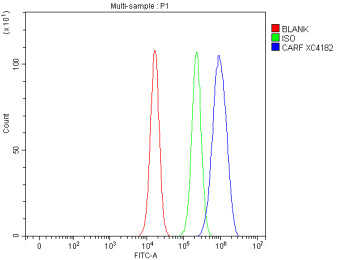 Flow Cytometry analysis of mouse NIH/3T3 cells using anti-Carf antibody. Overlay histogram showing NIH/3T3 cells stained with (Blue line). To facilitate intracellular staining, cells were fixed with 4% paraformaldehyde and permeabilized with permeabilization buffer. The cells were blocked with 10% normal goat serum. And then incubated with rabbit anti-Carf antibody (1 ug/million cells) for 30 min at 20oC.