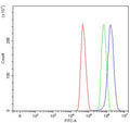 Flow cytometry testing of human U-251 cells with SFR1 antibody at 1ug/million cells (blocked with goat sera); Red=cells alone, Green=isotype control, Blue= SFR1 antibody.