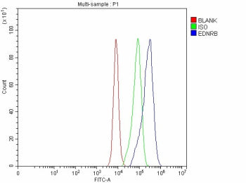 Flow Cytometry analysis of CACO-2 cells using anti-EDNRB antibody. Overlay histogram showing CACO-2 cells stained with (Blue line). The cells were fixed with 4% paraformaldehyde and blocked with 10% normal goat serum. And then incubated with rabbit anti-EDNRB antibody (1 ug/million cells) for 30 min at 20oC. DyLight 488 conjugated goat anti-rabbit IgG (5-10 ug/million cells) was used as secondary antibody for 30 min at 20oC.