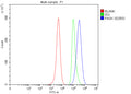 Flow Cytometry analysis of HeLa cells using anti-PASK antibody. Overlay histogram showing HeLa cells stained with (Blue line). To facilitate intracellular staining, cells were fixed with 4% paraformaldehyde and permeabilized with permeabilization buffer. The cells were blocked with 10% normal goat serum. And then incubated with rabbit anti-PASK antibody (1 ug/million cells) for 30 min at 20oC.