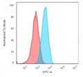 Flow cytometry testing of human MOLT-4 cells with CD2 antibody (clone UMCD2); Red=isotype control, Blue= CD2 antibody.