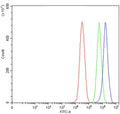 Flow cytometry testing of human 293T cells with ADAR2 antibody at 1ug/million cells (blocked with goat sera); Red=cells alone, Green=isotype control, Blue= ADAR2 antibody.