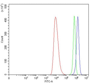 Flow cytometry testing of human HEL cells with MDR15 antibody at 1ug/million cells (blocked with goat sera); Red=cells alone, Green=isotype control, Blue= MDR15 antibody.