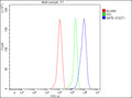 Flow Cytometry analysis of THP-1 cells using anti-NAA80 antibody. Overlay histogram showing THP-1 cells stained with (Blue line). To facilitate intracellular staining, cells were fixed with 4% paraformaldehyde and permeabilized with permeabilization buffer. The cells were blocked with 10% normal goat serum. And then incubated with rabbit anti-NAA80 antibody (1 ug/million cells) for 30 min at 20oC.