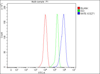 Flow Cytometry analysis of THP-1 cells using anti-NAA80 antibody. Overlay histogram showing THP-1 cells stained with (Blue line). To facilitate intracellular staining, cells were fixed with 4% paraformaldehyde and permeabilized with permeabilization buffer. The cells were blocked with 10% normal goat serum. And then incubated with rabbit anti-NAA80 antibody (1 ug/million cells) for 30 min at 20oC.
