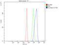 Flow Cytometry analysis of 293T cells using anti-SLC9A8 antibody. Overlay histogram showing 293T cells stained with (Blue line). The cells were fixed with 4% paraformaldehyde and blocked with 10% normal goat serum. And then incubated with rabbit anti-SLC9A8 antibody (1 ug/million cells) for 30 min at 20oC. DyLight 488 conjugated goat anti-rabbit IgG (5-10 ug/million cells) was used as secondary antibody for 30 min at 20oC.