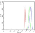 Flow cytometry testing of human U-87 MG cells with Ribonucleotide Reductase M1 antibody at 1ug/million cells (blocked with goat sera); Red=cells alone, Green=isotype control, Blue= Ribonucleotide Reductase M1 antibody.
