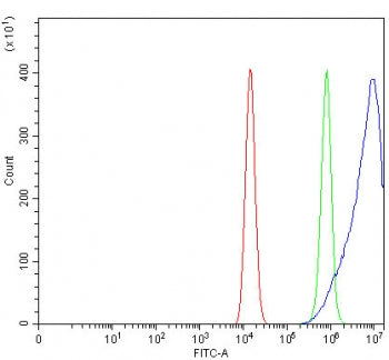 Flow cytometry testing of fixed and permeabilized human HEL cells with RRAS antibody at 1ug/million cells (blocked with goat sera); Red=cells alone, Green=isotype control, Blue= RRAS antibody.
