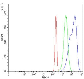 Flow cytometry testing of human HeLa cells with MSH6 antibody at 1ug/million cells (blocked with goat sera); Red=cells alone, Green=isotype control, Blue= MSH6 antibody.
