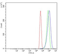 Flow cytometry testing of human U-251 cells with CYP8A1 antibody at 1ug/million cells (blocked with goat sera); Red=cells alone, Green=isotype control, Blue= CYP8A1 antibody.